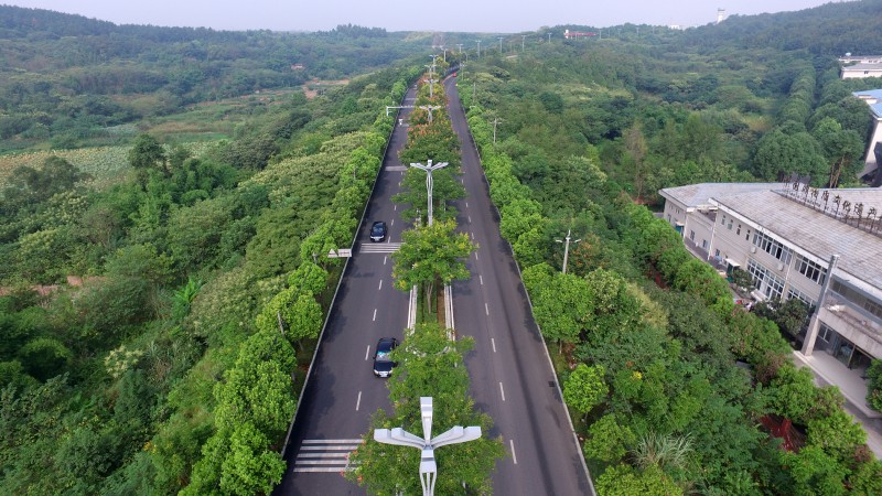 綿陽(yáng)機(jī)場(chǎng)路改造提升（黑化）工程