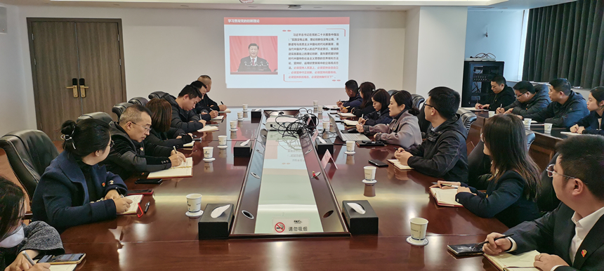 集團(tuán)黨委委員、副總經(jīng)理賀維維同志講授專題黨課
